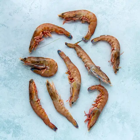 Whole Wild Australian Prawns