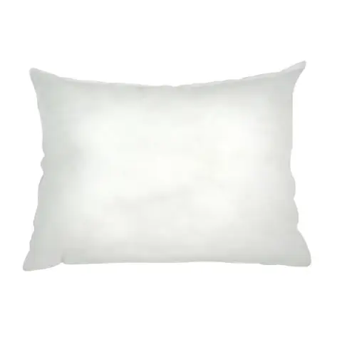 Riva Home Cushion Pad Polyester Fill Rectangle White 30x50cm