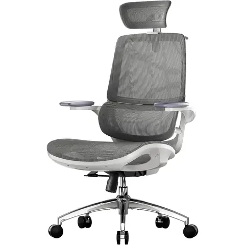 SIHOO M59AS Ergonomic Office Chair, Desk Chair with 3D Coordinated Flip-up Armrests, Computer Chair with Dual Back Design and
Adaptive Dynamic Lumbar Support(Grey)