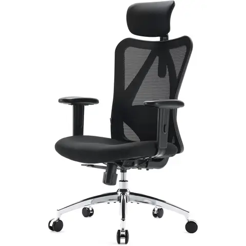 SIHOO M18 Ergonomic Office Chair, Computer Desk Chair with Adjustable Headrest and Lumbar Support, High Back
Executive Swivel Chair for Home Office (Pure Black)