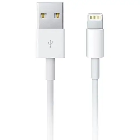 Apple Lightning to USB Cable (1m)