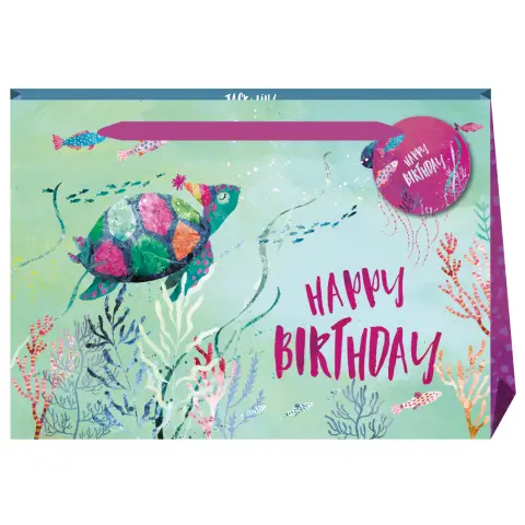 Jack & Lily Happy Birthday Turtle Large Gift Bag