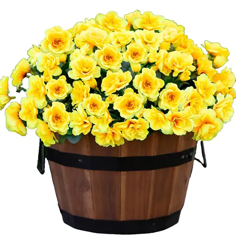 6Pcs 15.3in/38cm
Artificial Faux Outdoor Flowers Plants for Spring Summer Decoration, Fake Silk Camellia Look Real for Planter Outside Front Door Porch Patio Balcony(yellow)
