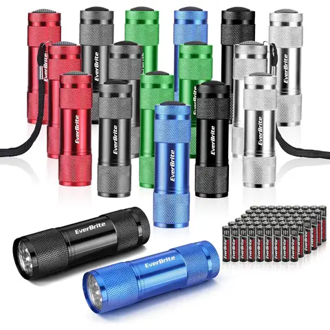 EverBrite 18-Pack LED Mini Pocket Torch, Small Keyring Torches Flashlight, Ideal for Kids Camping Hiking Traveling Cycling Outdoors Party, Batteries Included
