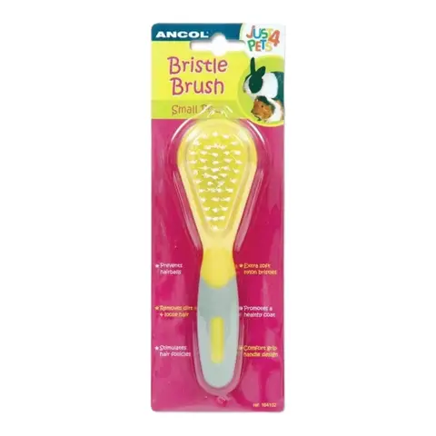 Ancol Small Animal Bristle Brush