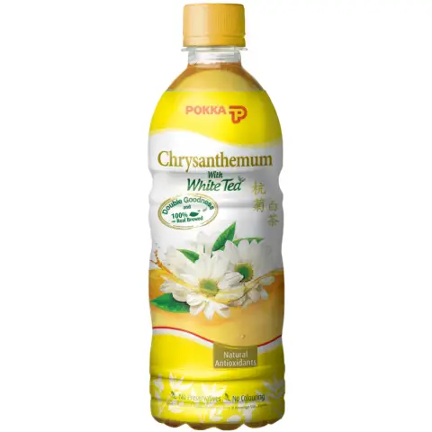 Pokka Chrysanthemum Tea 500ml 百佳菊花茶 500ml
