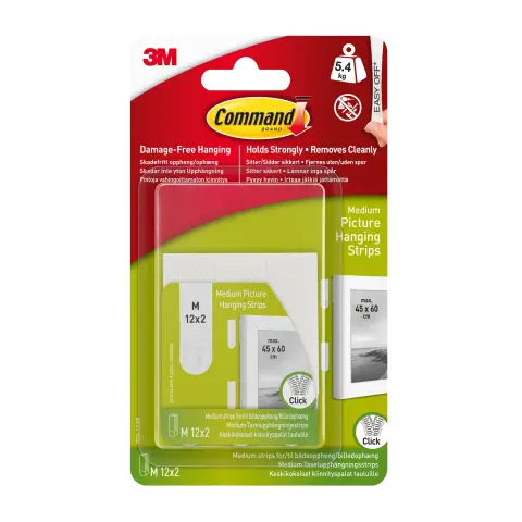17204 MED PICTURE STRIPS(12)PK4NT
