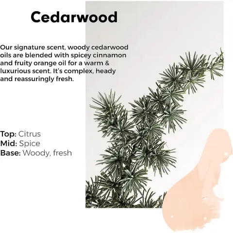 Wilton London Cedarwood Laundry Liquid 1l