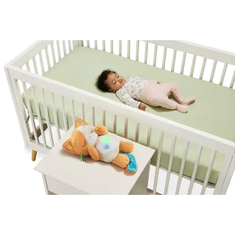 Vtech Baby Calming Purrs Kitten