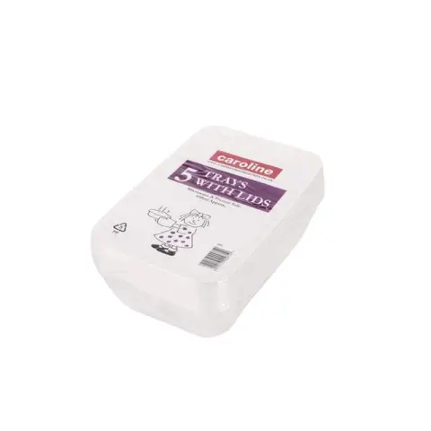 650ml Plastic Tub with Lid