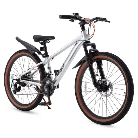 RoyalBaby+kids bike+Kingplus+Silver 24 inch