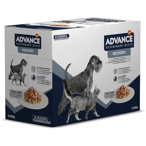 Advance Veterinary Diets Croquettes de convalescence pour chien et chat - 11 x 100 g