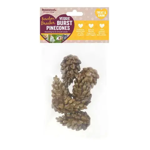 Rosewood Veggie Burst Pinecones 6pc