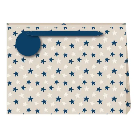 Penny Kennedy Linen Astros Large Gift Bag