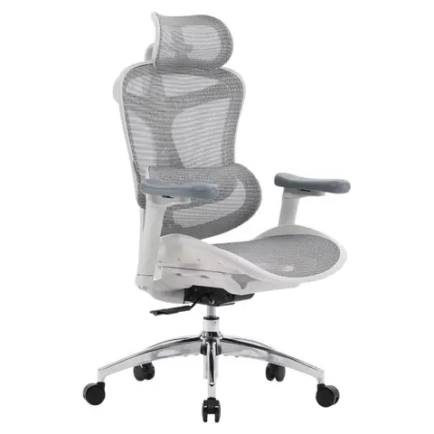 SIHOO Doro C300 Ergonomischer Bürostuhl mit ultraweichen 3D-Armlehnen, dynamische Lendenwirbelstütze für Home Office, verstellbare Rückenlehne, Schreibtischstuhl (Weiß)