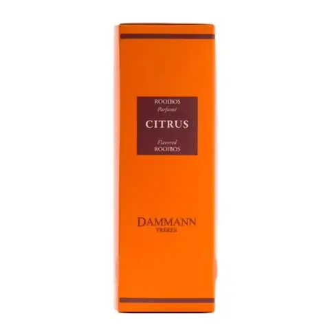 DAMMANN FRERES Infusion Rooibos Agrumes 24 Sachets 48g