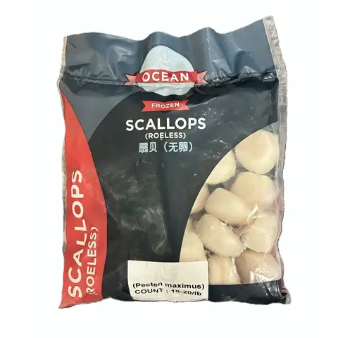 OCEAN DELUXE IQF Roeless King Scallop Meat (L - 10/20) 700g net