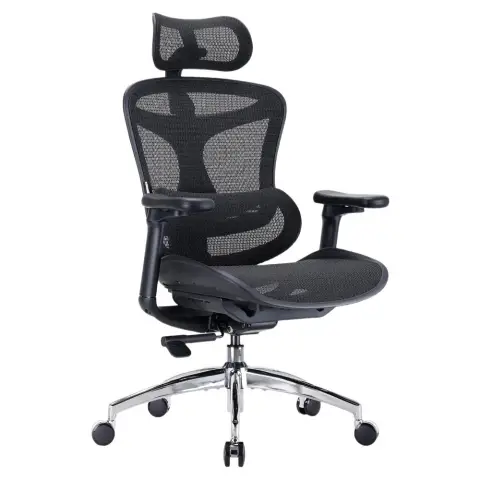SIHOO Doro C300 Ergonomic Office Chair with Ultra Soft 3D Armrests, Dynamic Lumbar Support for Home Office, Adjustable Backrest DeskChair (Black)