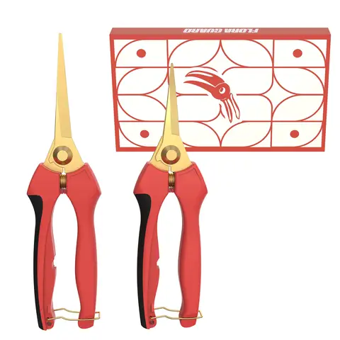 FLORA GUARD Bonsai-Scheren, 2 Stück - aus Edelstahl, scharfe Klingen, Mikrospitze, gerade und gebogene Klammer, Geschenkbox-Verpackung, für die Anordnung von Blumen und das Trimmen von Pflanzen