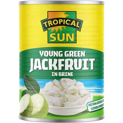 Green Jackfruit In Brine  560g