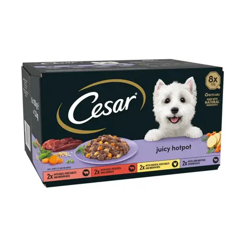 Cesar Juicy Hotpot Adult Wet Dog Food Trays Mixed In Gravy 8 x 150g
