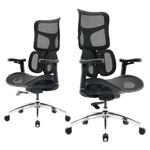 SIHOO Doro S100 Ergonomic Office Chair - with Dual Dynamic Lumbar Support,5-Level Adjustable Backrest, 4D Coordinated Armrests, 135-degree Max.Recline Angle, Suitable for Home Office (S100 Black)