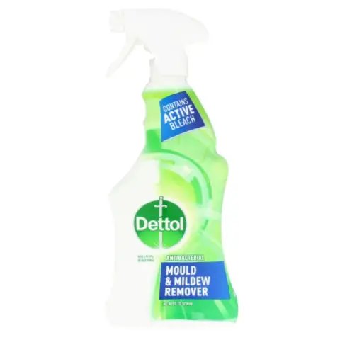 Dettol Mould Mild 500ml Trigg