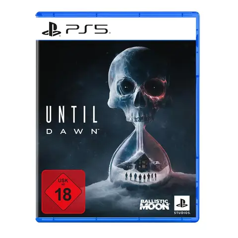 Until Dawn™
