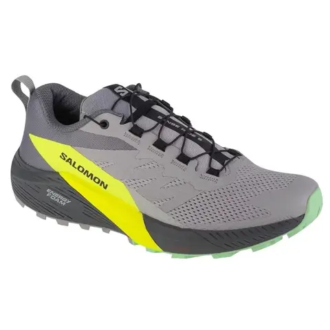 Salomon Sense Ride 5 Gris 44