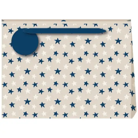 Penny Kennedy Linen Astros Large Gift Bag
