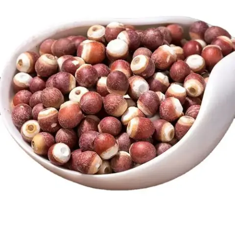 Kang Hing Tong Fox Nut 200g 群兴堂芡实
