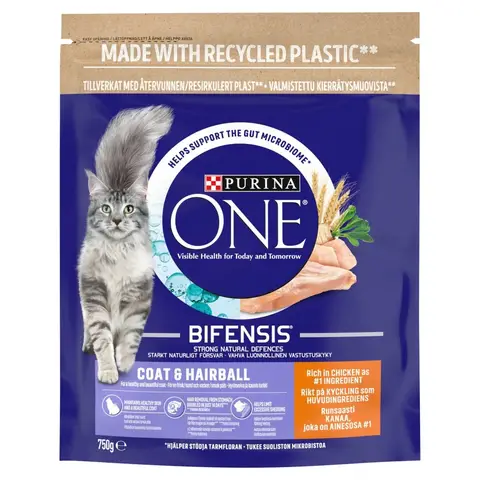 Purina ONE Bifensis Coat & Hairball 750g