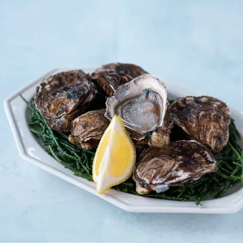 6 English oysters - HPP