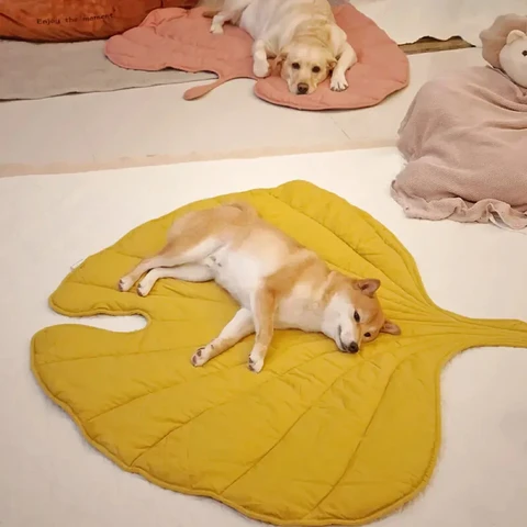 FunnyFuzzy Multi-use Leaf Shape Dog Blanket Yellow