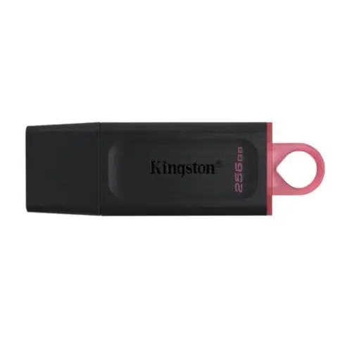 Kingston Technology DataTraveler Exodia - USB 3.2-sleutel - 256 GB