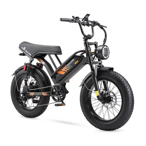 Pure Unicorn U5 Moped Elektrische Fiets 20'' Met 48 V 19,2 Ah Accu Zwart