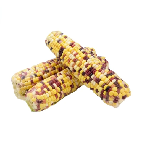 JINGNONG Colored Waxy Corn on the Cob 400G