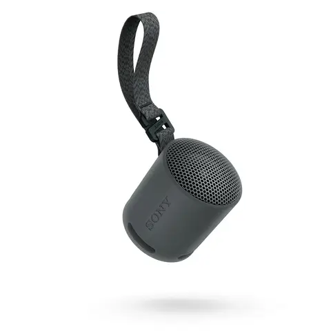 Sony SRS-XB100 Bluetooth Portable Speaker (Black)