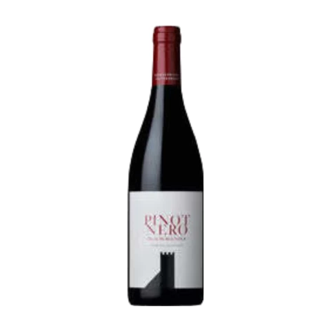 2023 Pinot Nero DOC, Colterenzio