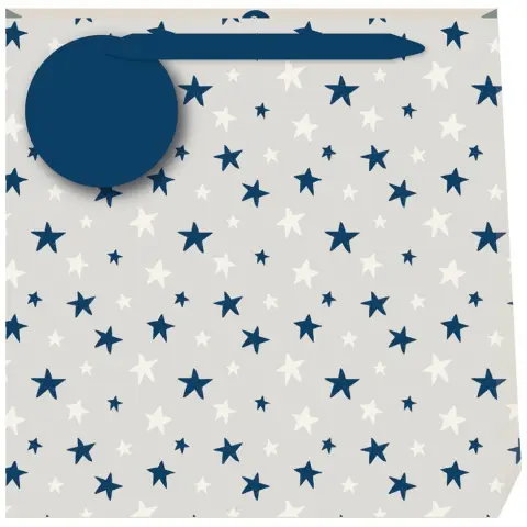 Penny Kennedy Linen Astros Indigo Medium Gift Bag