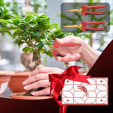 FLORA GUARD 2pcs Bonsai Pruning Shears - Sharp Stainless Steel Garden Scissors, Micro-Tip Pruning Snip with Straight & Curved Blade, Gardening Gift Box Packaging, for Arranging Flower, Trimming Plant