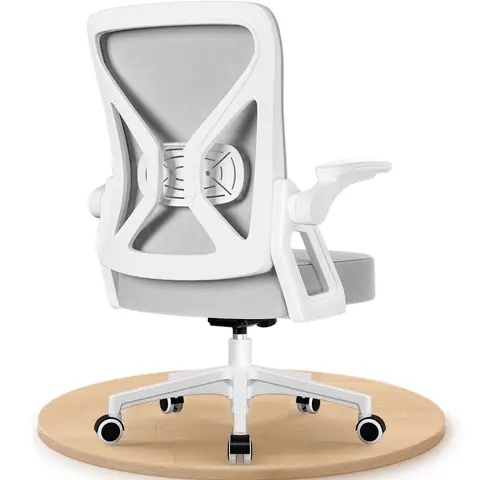 GTIMEX ergonomische bureaustoel met omschuifbare armleuningen, verstelbare lendensteun, in hoogte verstelbare directiestoel, kantelmechanisme tot 125°, grijs