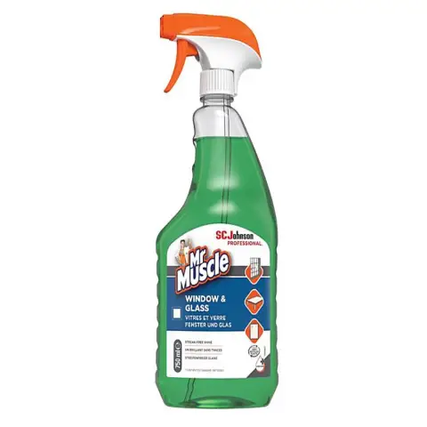 Mr Muscle Window & Glass Professional Spray 750ml