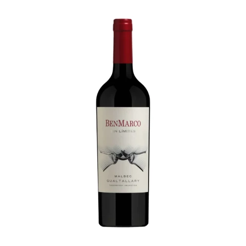 2020 BenMarco Sin Limites Malbec Susana Balbo
