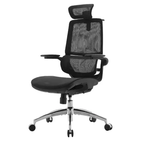 SIHOO M59AS Ergonomic Office Chair with 3D Coordinating Folding Armrests, Double Seat Back Design and Adaptive Lumbar Support, Mesh Desk Chair for Home Office (Black)