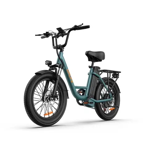URLIFE E20 adult E-bike 250W 48V 13Ah battery commute Electric Bike,20-inch Fat Tire city ebike URLIFE E20(green）