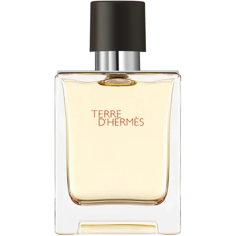 HERMÈS Terre d’Hermès Eau de toilette pour homme - 50 ml