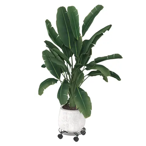 Topfblumen für draussen – Blüten für Balkon & Terrasse