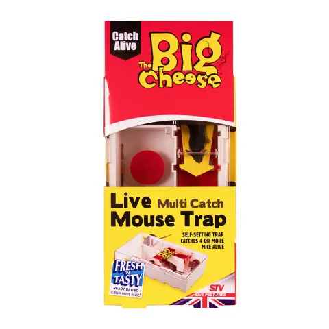 Big Cheese Multi-catch Live Mouse Trap