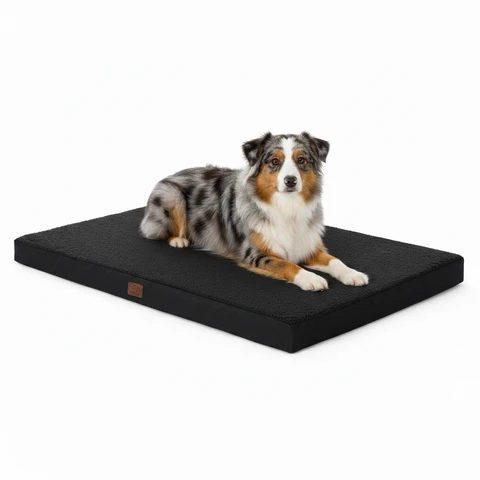 nassfutter hund getreidefrei Hundefutter mit Rind & Seelachs - Nassfutter